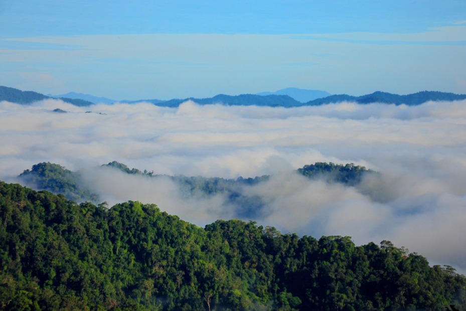 เขาพะเนินทุ่ง